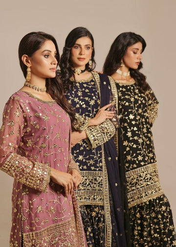 Sajni